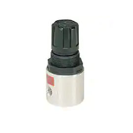 Regulador de presión para aire comprimido - R34   - Watts Fluid Air - de muelle / monoetapa / analógico
