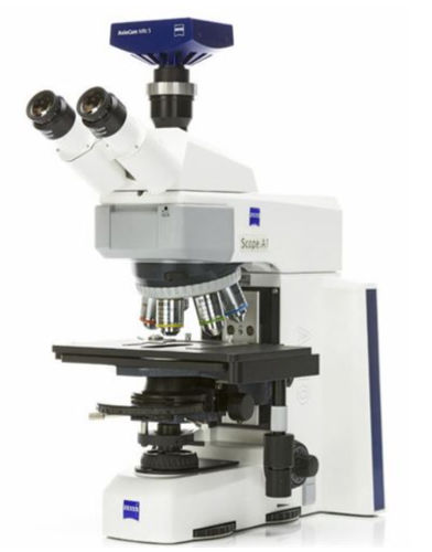 Microscopio óptico - AxioScope A1 - Hitech Instruments - de laboratorio / para la investigación / recto