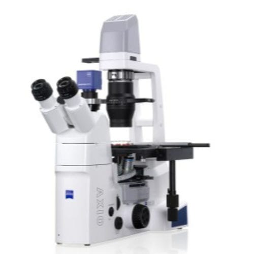 Microscopio óptico - AxioVert A1 - Hitech Instruments - para la investigación / industrial / médico