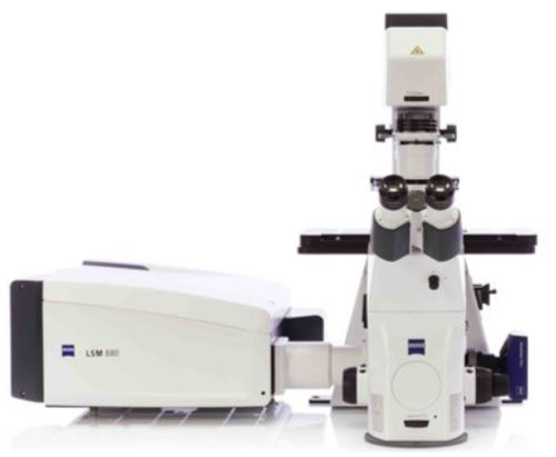 Sistema de imagen compacto - LSM 800 - Hitech Instruments