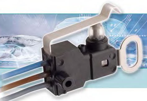 Interruptor de palanca - 1022 series - MARQUARDT France - unipolar / resistente al agua / de corte