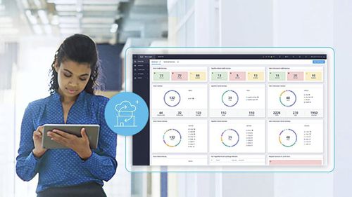 Software de gestión - Cisco+ - Cisco Systems - de optimización / de business intelligence / de red