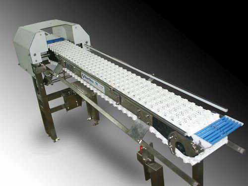 Transportador con bisagra - SpanTech - elevador