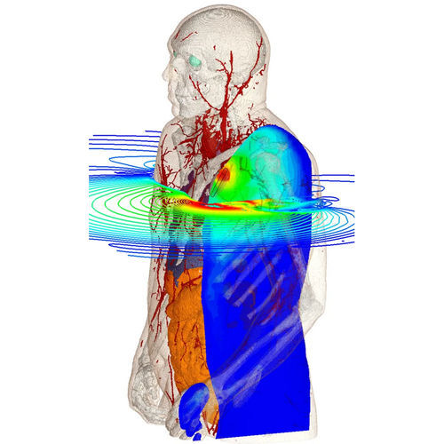 Software de simulación - Bioelectromagnetics Simulation - SIMULIA - de ingeniería / para prueba / de modelización