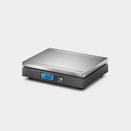 Balanza móvil - E3 basic - BIZERBA - de plataforma / electrónica / mecánica