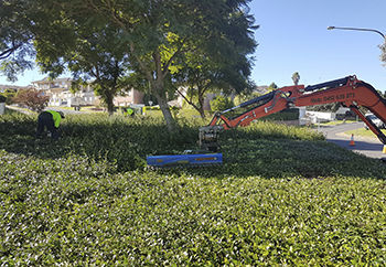 Cortasetos hidráulico - Auger Torque Europe Ltd. - para excavadora