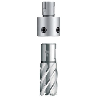Portaherramienta Weldon - ZAF 005 - BDS Maschinen GmbH - Germany - de taladrado