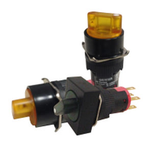 Interruptor de selección - 40 series - Werner Electric GmbH - multipolar / IP65 / IP40