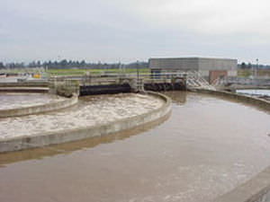 Microplanta para tratamiento de aguas residuales biológica - Orbal® - Evoqua Water Technologies
