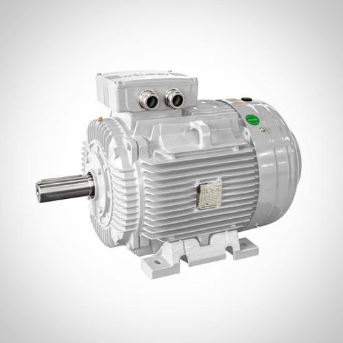 Motor IE2 WE series Wonder Electric Australia (Pty) Ltd 3 fases / asíncrono / 400V