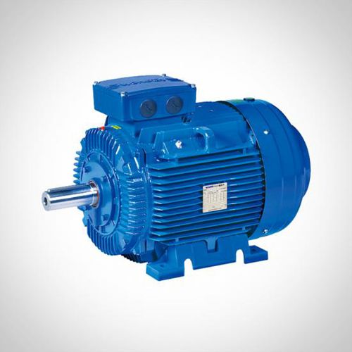 Motor asíncrono - ZWE series - Fuzhou Wonder Electric Co.,Ltd. - 3 fases / 400V / de hierro fundido