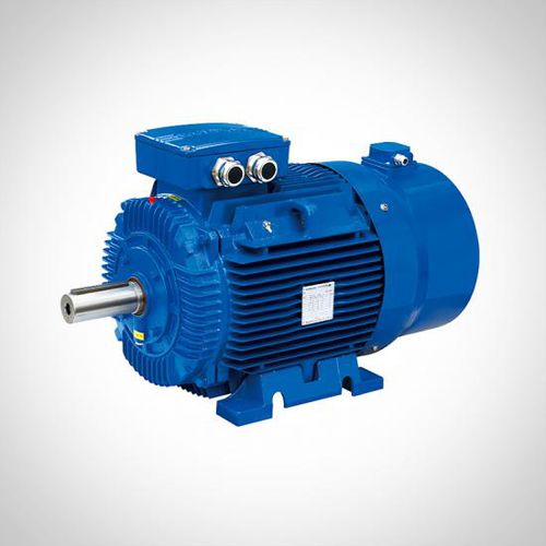 Motor de inducción - WVF series - Fuzhou Wonder Electric Co.,Ltd. - 3 fases / 400V / de hierro fundido