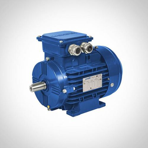 Motor asíncrono - ZWEA series - Fuzhou Wonder Electric Co.,Ltd. - AC / 400V / de aluminio