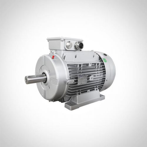 Motor de inducción - WTM series - Fuzhou Wonder Electric Co.,Ltd. - trifásico / modular / IP55
