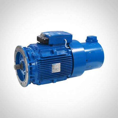 Motor de inducción - WEAVF&WEVF series - Fuzhou Wonder Electric Co.,Ltd. - trifásico / con freno / IP55