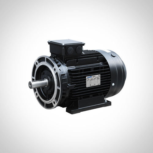 Motor de inducción - SSWEA132S1-2-5.5KW - Fuzhou Wonder Electric Co.,Ltd. - AC / IE4 / para aplicaciones hidráulicas