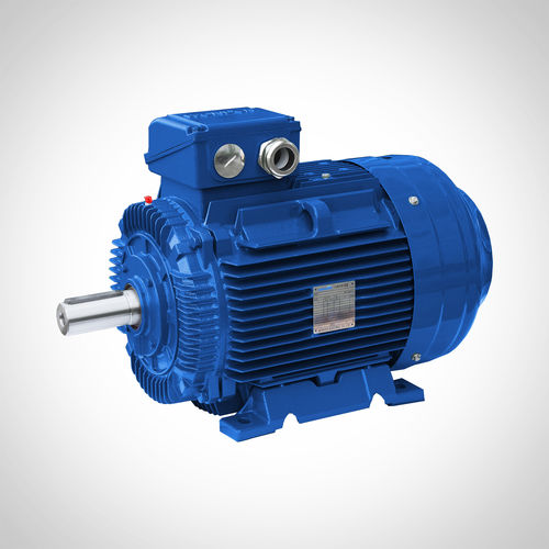 Motor de inducción - SWE-250M2-55KW - Fuzhou Wonder Electric Co.,Ltd. - AC / reforzado / IE3