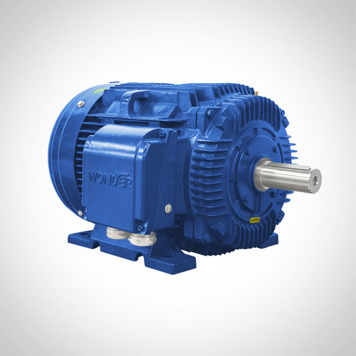 Motor de inducción - NT444T1-6-D-75HP - Fuzhou Wonder Electric Co.,Ltd. - AC / de hierro fundido / TEFC