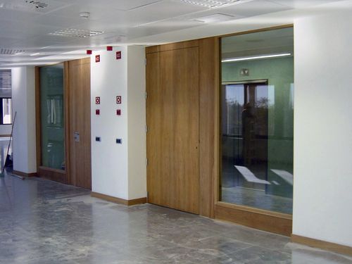 Puerta abatible - EI2-30-60-90-120 series - ALFATECO MADRID S.A. - de vidrio / de madera / para interior