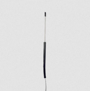 Sensor de temperatura Pt100 - JRI - de mano / de cable / profundo