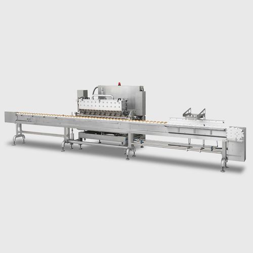 Inyector para la industria alimentaria - DI  - COMAS SPA - volumétrico