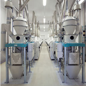 Balanza con indicador separado - MSDL - Bühler Group - con tolva