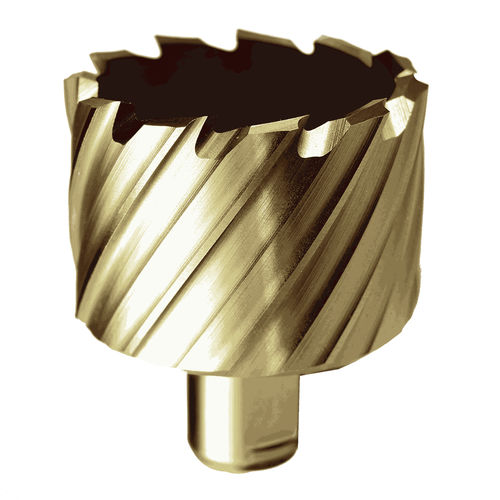 Fresa hueca con recubrimiento - GOLDFINGER - JEPSON POWER - HSS/HSCO / Weldon