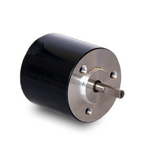 Motor brushless - BR2826-12  - Transmotec Sweden AB - DC / 12 V / 4 polos