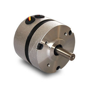 Motor brushless - BR5743-12  - Transmotec Sweden AB - DC / 12 V / 2 polos