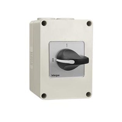 Interruptor de levas - CITR series - Telergon - unipolar / 2 polos / 3 polos