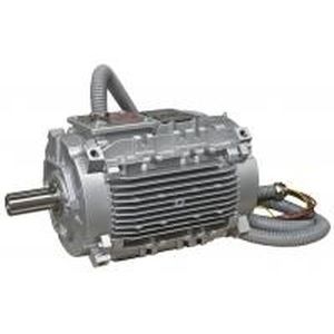 Motor para sistema de extracción de humos y calor - LSHT/FLSHT - LEROY-SOMER - de inducción / trifásico / 690 V