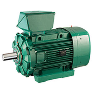 Motor ATEX - FLSES zone 22 - LEROY-SOMER - de inducción / AC / 400V