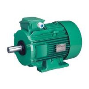 Motor de inducción - LS series - LEROY-SOMER - trifásico / con carcasa de aluminio / IP55