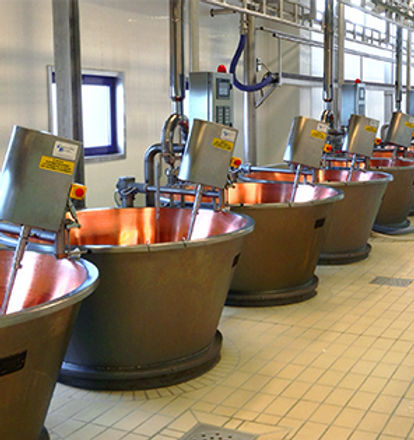 Agitador de turbina - Caseartecnica Bartoli - horizontal / continuo / líquido sólido