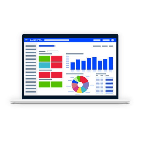 Software de ERP - Cegid XRP Flex - CEGID - de gestión / para informes / en tiempo real