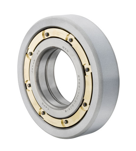 Rodamiento de bolas - MEGAOHM - NTN Europe - radial / de acero / de cerámica