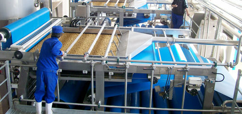 Prensa de correa para la industria agroalimentaria - WINKLEPRESS WPX - Gebr. Bellmer GmbH Maschinenfabrik  - para fruta
