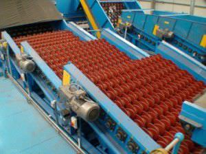 Cribadora scalper para vidrio - NEWScreen - CP Manufacturing - vibratorio lineal / para productos a granel