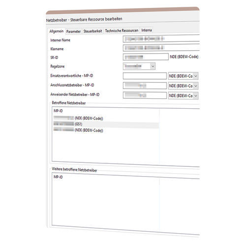Software de gestión - Redispatch 2.0 - VIVAVIS - de interfaz / de mando / de SCADA