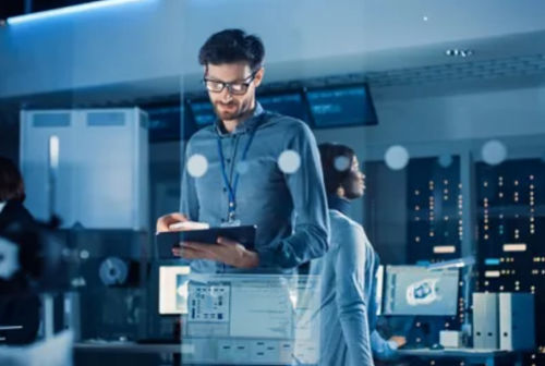 Software de gestión - Digital Safety Manager - ANSYS - de análisis / de supervisión / de desarollo