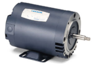 Motor síncrono - LEESON Electric - DC / 60 V / con imán permanente