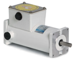 Motor síncrono - LEESON Electric - DC / resistente al agua