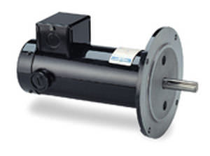 Motor síncrono - LEESON Electric - DC / con imán permanente