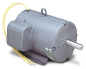 Motor asíncrono - LEESON Electric - AC / trifásico / 220V
