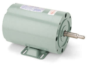 Motor AC - LEESON Electric - monofásico / para bomba