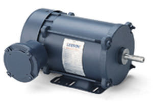 Motor asíncrono - LEESON Electric - AC / monofásico / 12 V