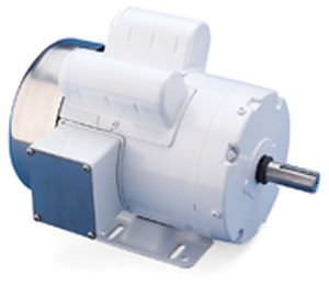 Motor DC - Washguard - LEESON Electric - de acero inoxidable / para aplicaciones "wash down"