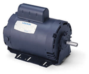 Motor asíncrono - LEESON Electric - AC / trifásico / reversible