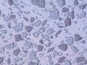 Carburo de tungsteno - Surface Engineering Alloy Co.