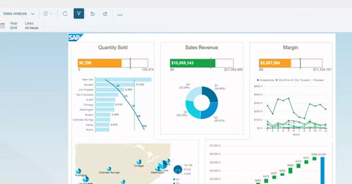Software para la gestión del rendimiento - BusinessObjects Business Intelligence - SAP - de gestión financiera / de análisis / de visualización